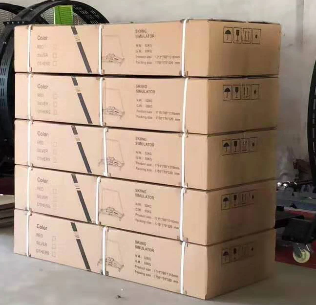 Commercial New Design Machine Ski Fitness Machine Indoor Ski Simulator with Bars #6