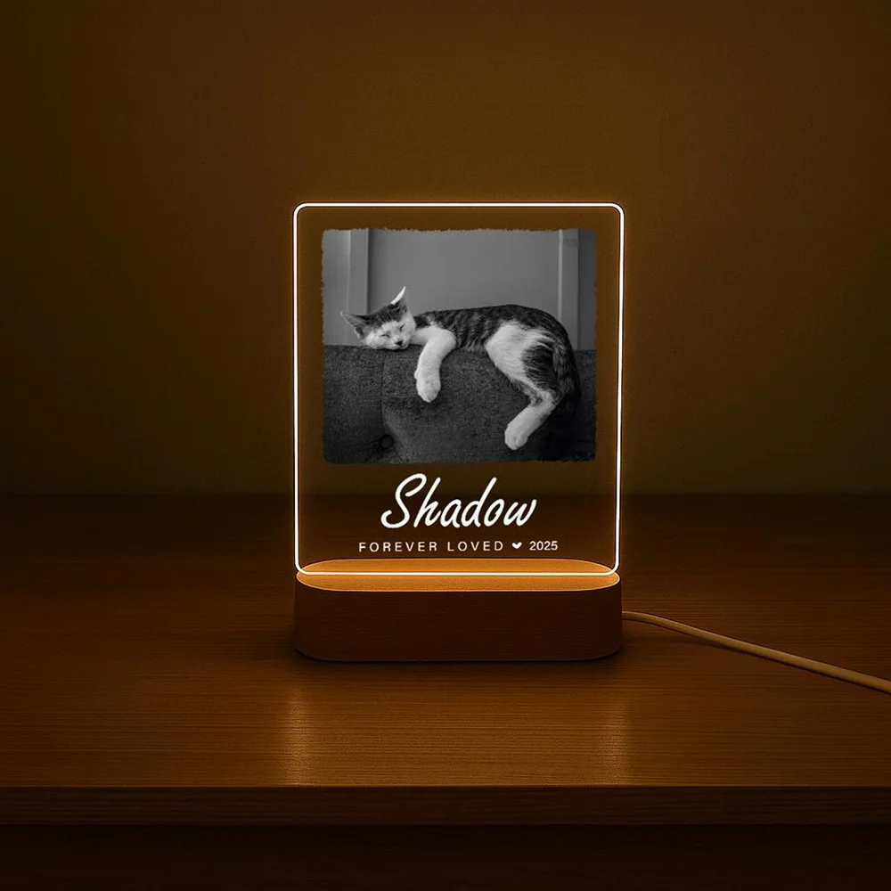 

Персонализированный акриловый светодиодный ночник с изображением собаки или кошки, памятный светильник для владельцев питомцев, специальный подарок.