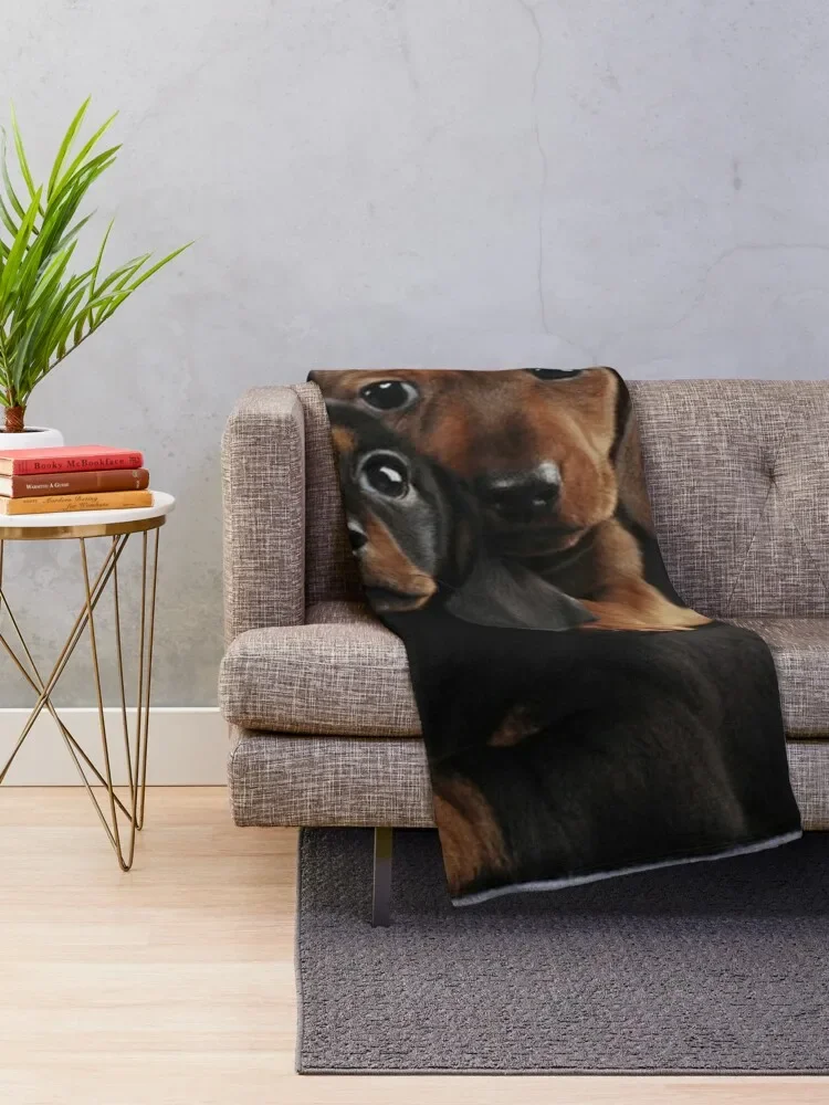 Dachshund Dog portrait photo pupies Throw Blanket Luxury Bed linens Kid'S Sofas Blankets