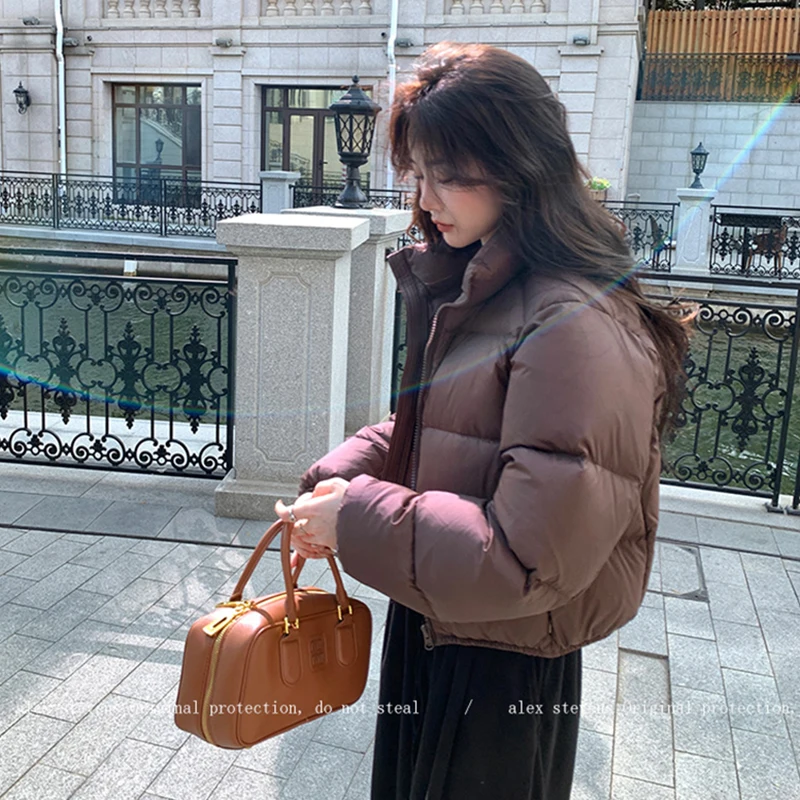 Winter Short Parkas Women Korean Fashion Casual All Match Loose Solid Stand Neck Down Coats Female Thick Warm Puffy Coats