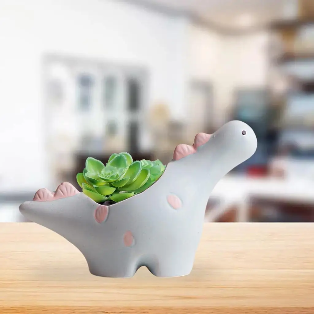 Cartoon Succulent Pot Herbs Decoration Cactus for Indoor Office