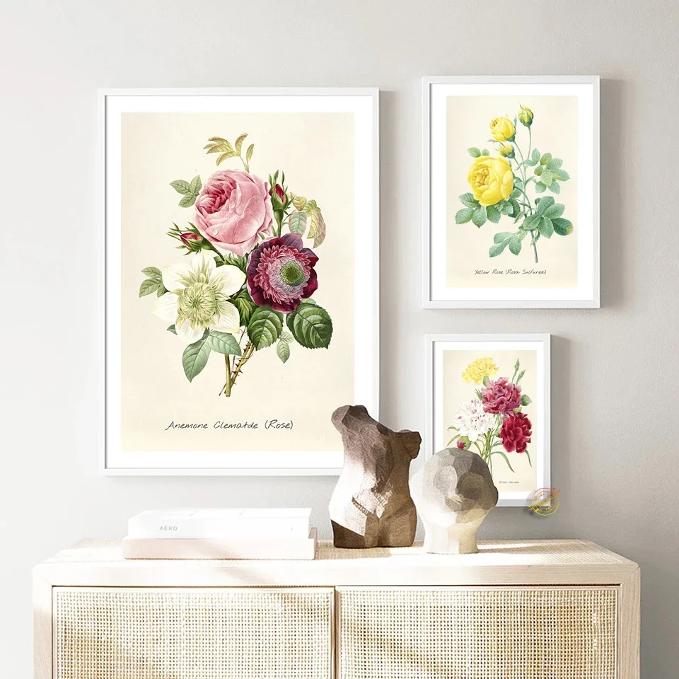 

Joseph Redoute Vintage Poster Rose Print Girls Home Decor Bedroom Wall Art Gift