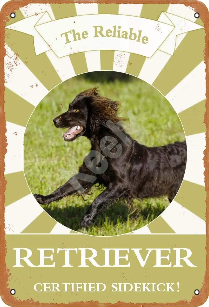 The Reliable Retriever Dog Boykin Spaniel Certified Sidekick Metal Vintage Tin Sign Wall Decoration 12x8 inches for Cafe Bars Re