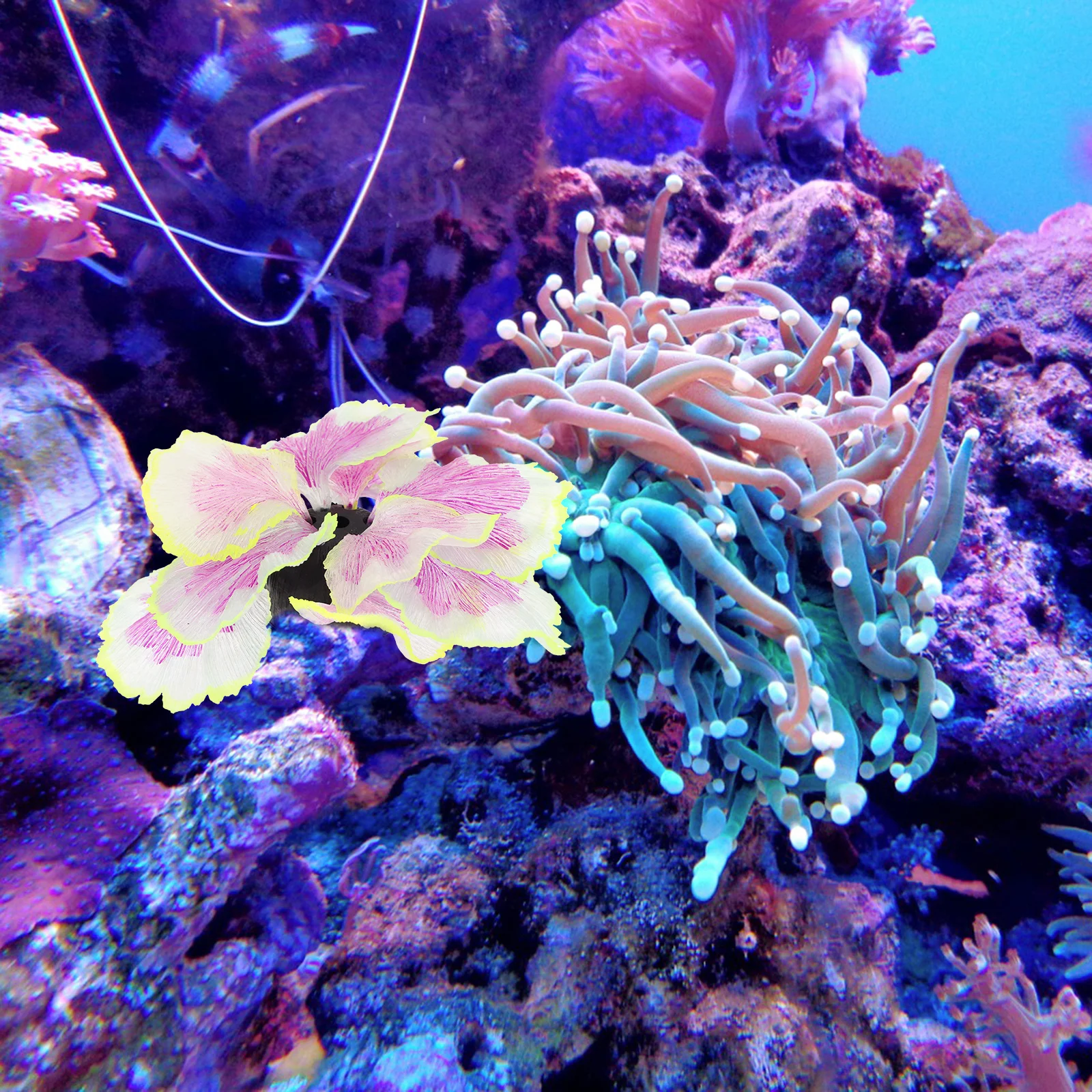 

Fish Tank Aquatic Plant Decor Artificial Water Grass Realistic Lifelike Aquarium Supplies Micro Landscape Decoration