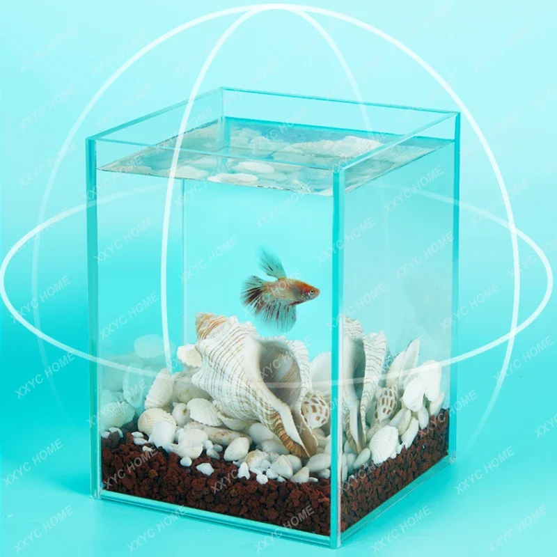 

Betta Tank Landscape Super White Betta Water Betta Row Household Fish for Douyu