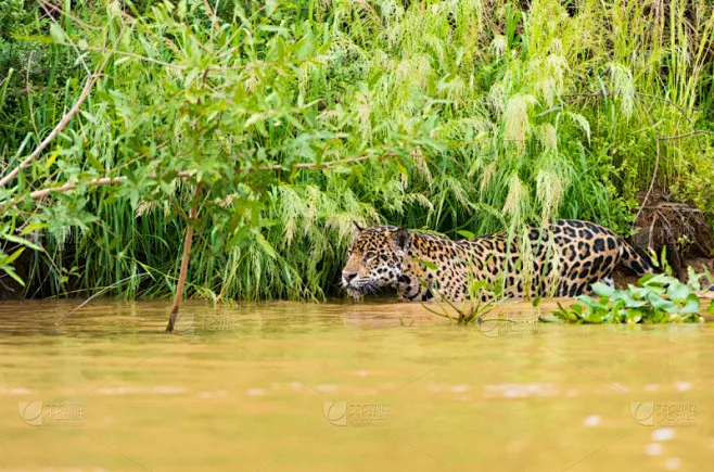 

Металлическая рама шасси RC AXIAL SCX10 с колесной базой 313 мм и передней коробкой передач для кузова Wrangler 1/10