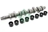 

428004230 interior camshaft set PASSAT CADDY T5 A3