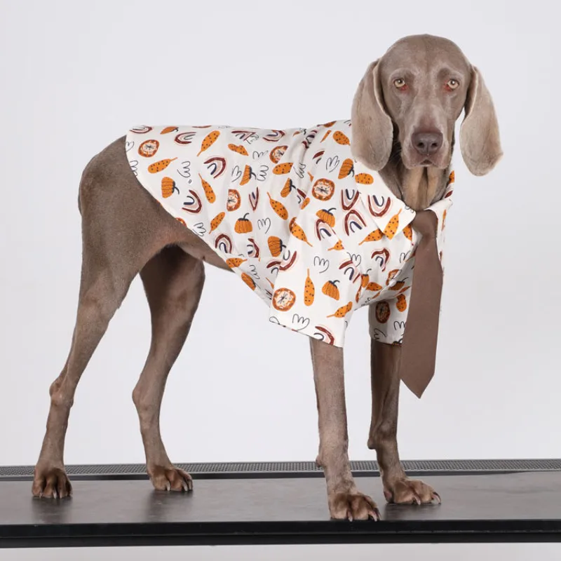 

Big Dog Clothes Summer Large Dog Shirt Corgi Shiba Inu Samoyed Border Collie Husky Labrador Golden Retriever Clothing Apparel