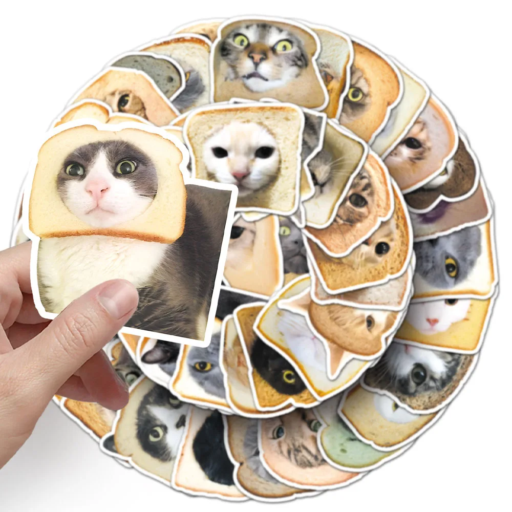 50 unids/bolsa divertido lindo dibujos animados pan gato MEME pegatinas calcomanías PET impermeable ser adecuado para monopatín equipaje portátil teléfono DIY