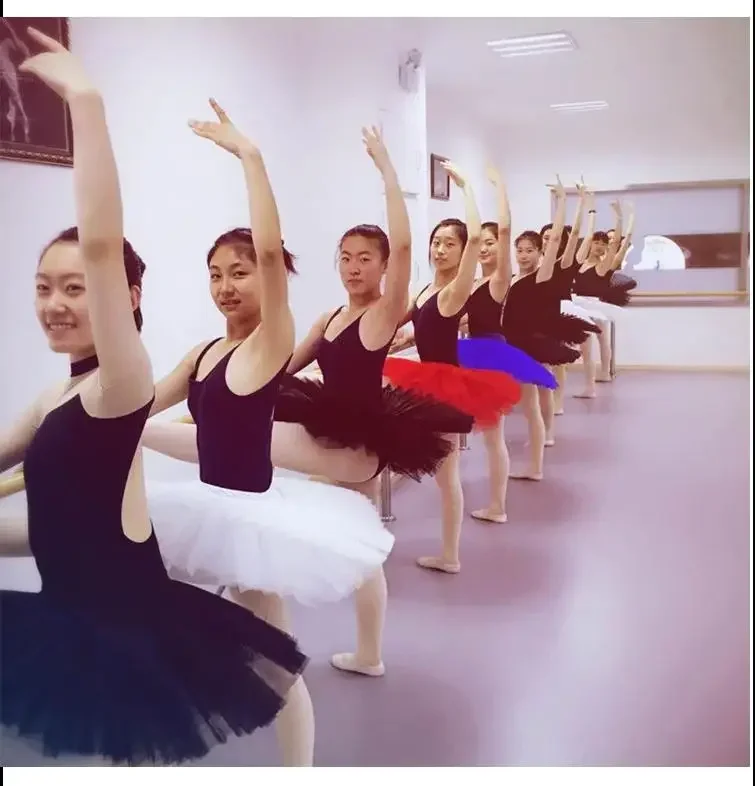 Tutú de Ballet profesional para niños y mujeres, faldas de panqueque, blanco, rosa, negro, rojo, plataforma de ensayo de práctica, medio Tutus de Ballet