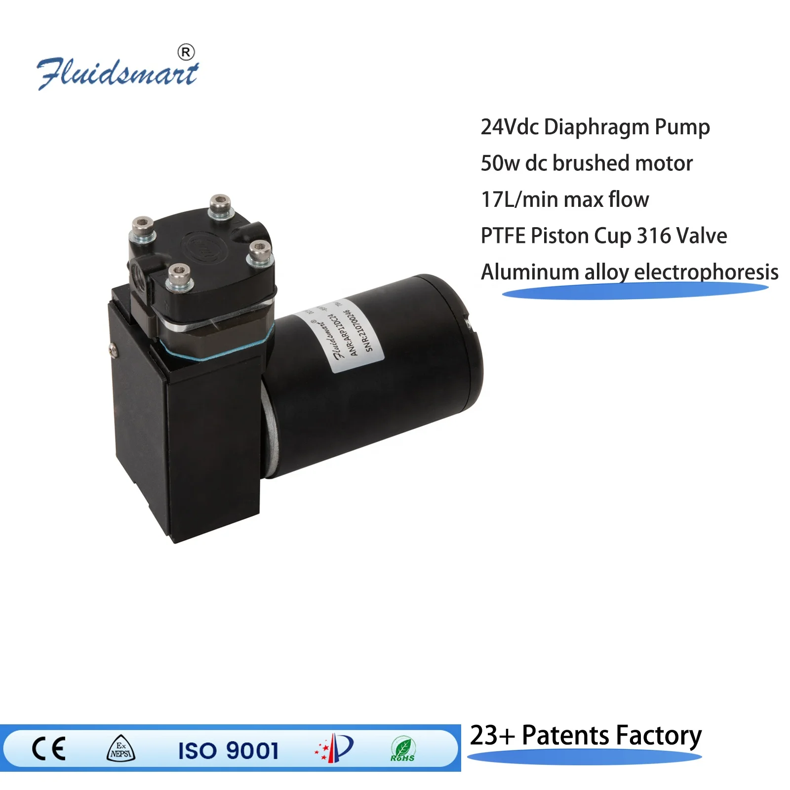 Fluidsmart ARP12DC24 24v Brush Motor Micro Dc Alloy Pump High Pressure Low Noise Mini Piston Pump Oil Free Vacuum Pump