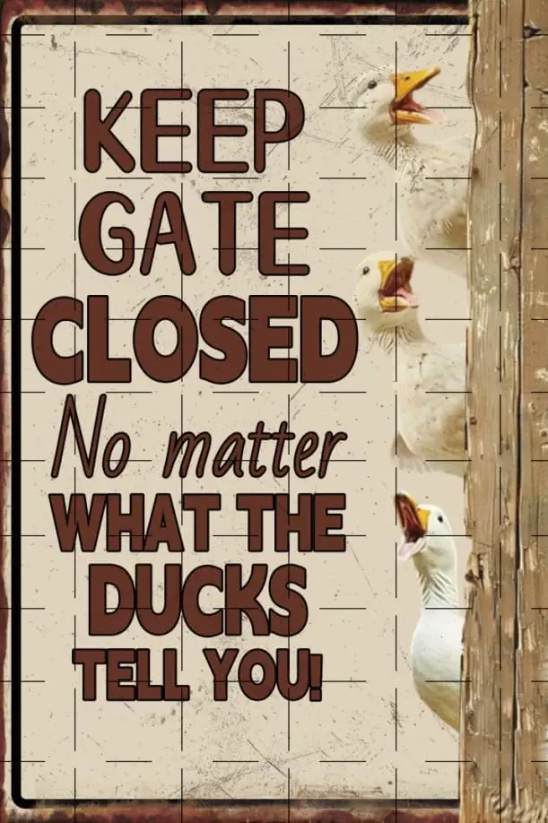 Ducks Keep Gate Closed Metal Tin Sign Ducks Wall Decor Caution Sign Ducks Posters Painting Funny Classic Sign Stickers Poster Ba