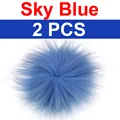 2pcs Sky Blue