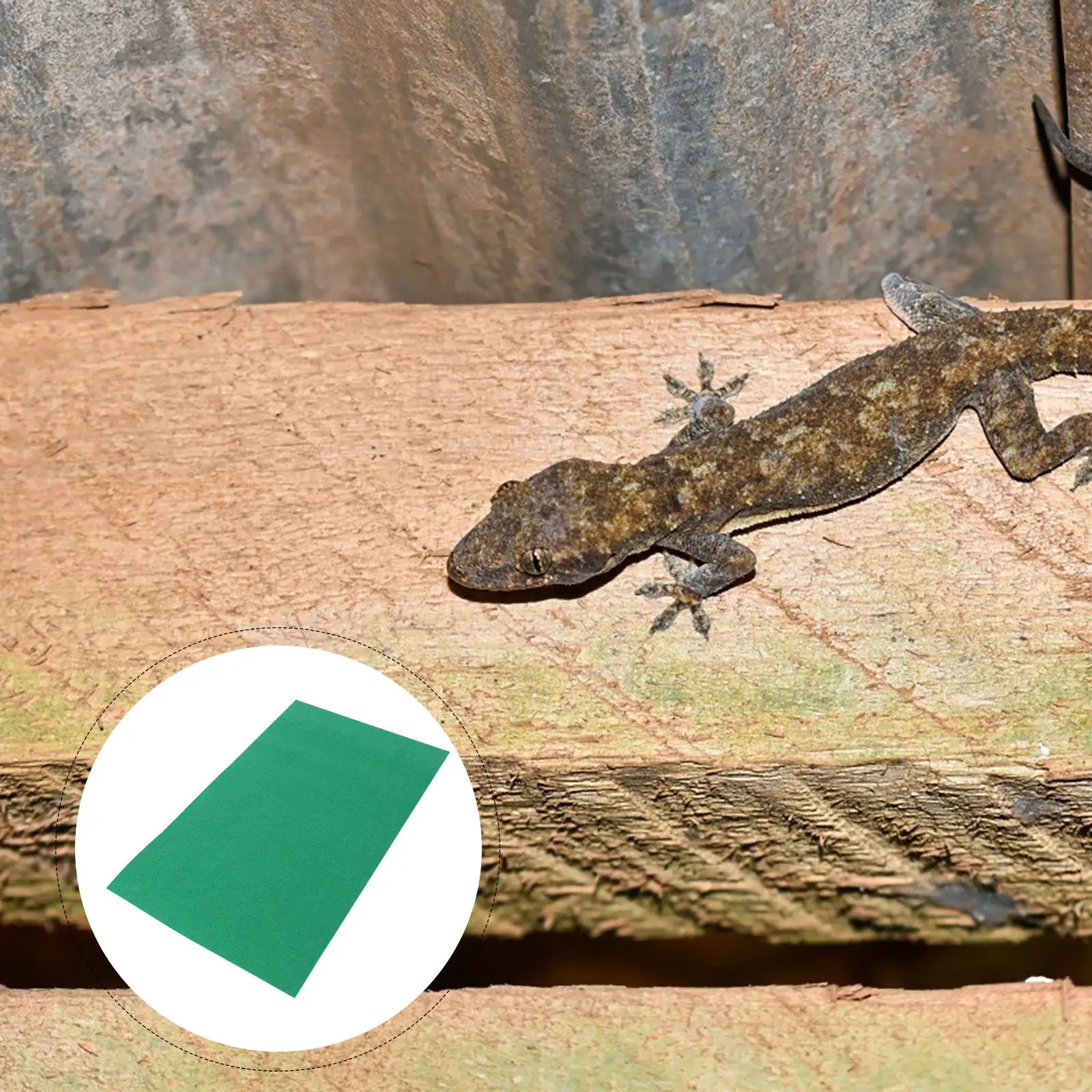 Reptile Bed Mat Lizard Carpet Tortoise Rug 60x40cm Premium Polyester with Coconut Fiber Strong Filtration Sanitary Comfortable view 6
