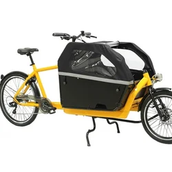 250W Electric Cargo Trike or Carry Children with Wood Box and Bafang Hub Motor KMC Chain Driver 7 Speeds Disc Brake