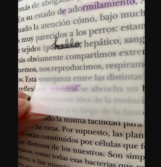 50 Sheets Waterproof PET Transparent Sticky Notes Self-Adhesive Memo Pad Planner Sticker Notepad Sticky Note Stationery Supplies