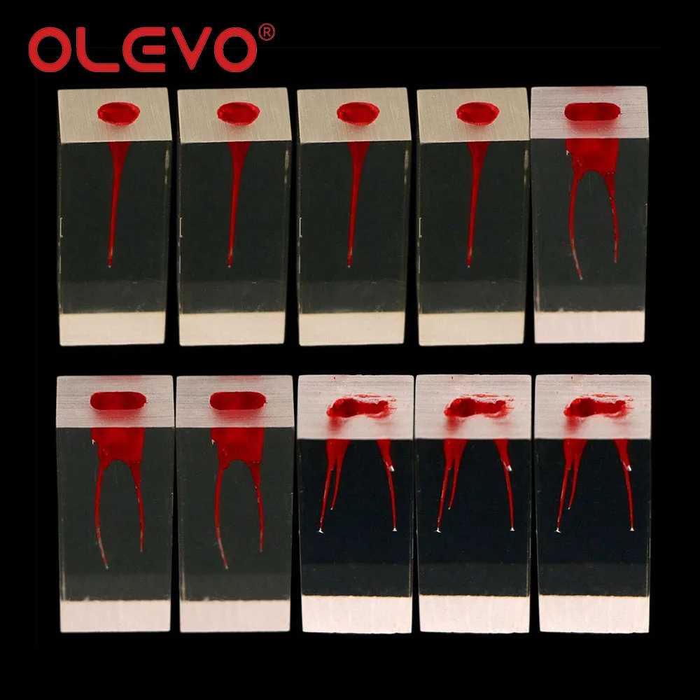 OLEVO-modelo de dientes de Canal radicular, bloque de práctica de cavidad de pulpa RCT, entrenamiento de endodoncia, modelos de enseñanza de dentista, 1 piezas