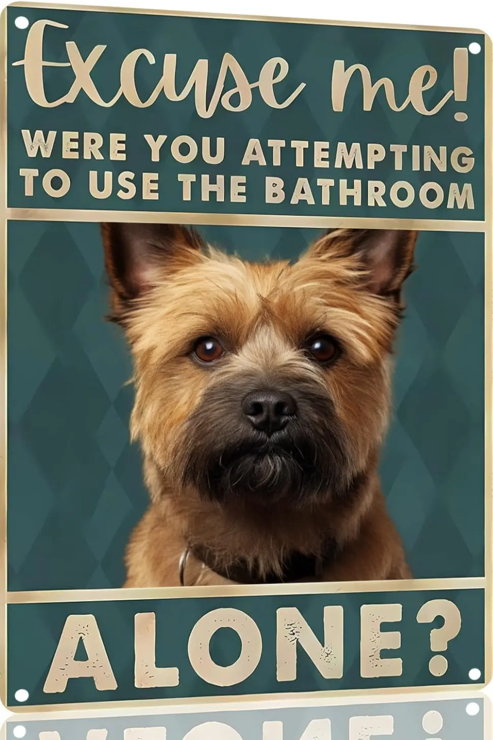 Cairn Terrier Dog 12x8 inch excuse me were you attempting to use the bathroom alone - Dog Metal Poster Dog Lover Gift Art Funny