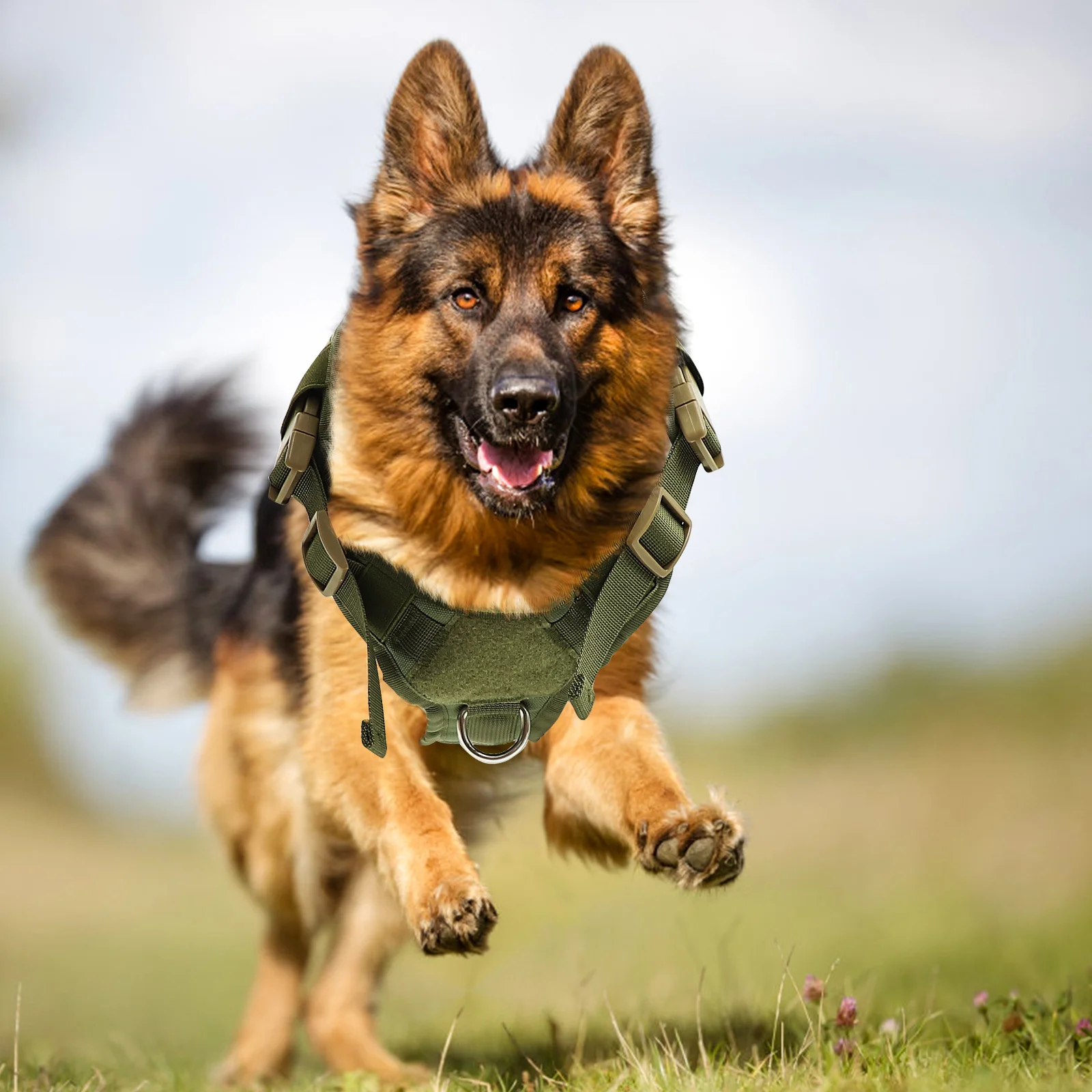 

Dog Harness German Shepherd Vest Service Dog Accessory Lightweight Sturdy Design Easy Carry Pet Gift Safe Walking