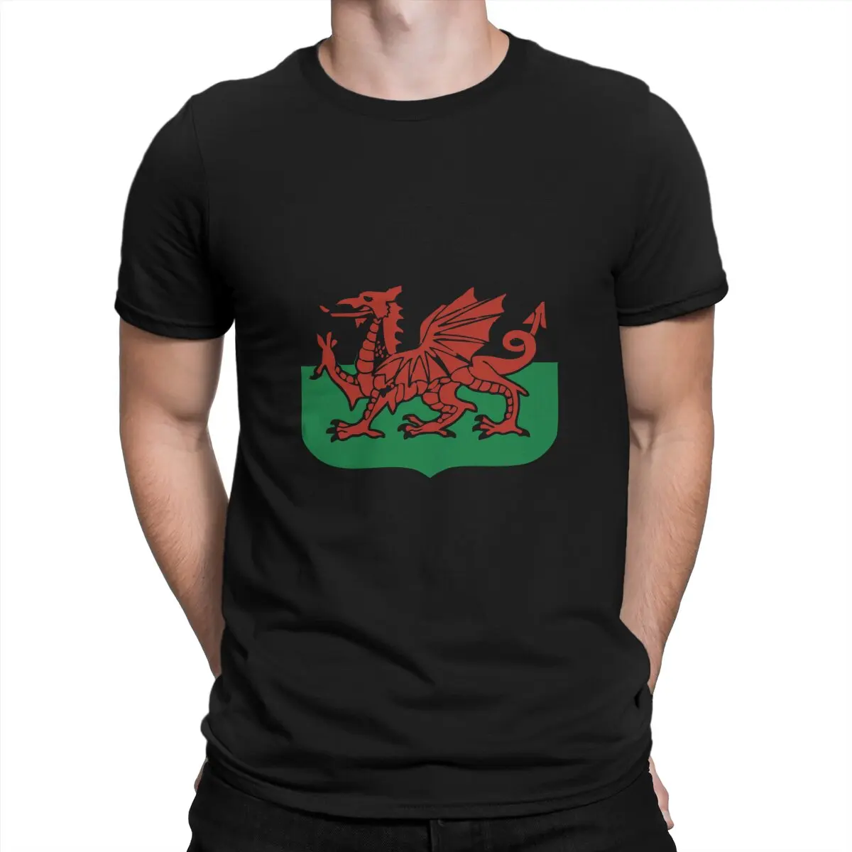 Cymru Welsh Cool Dragon T Shirt Alternative Crewneck TShirt Harajuku Clothes Polyester