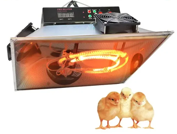 Poultry Farm Chicken Brooding Chicken Electric Heater 220V Piglet House Heating Equipment Hot Poultry Brooder