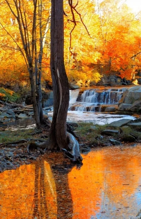 

AxisFlying AE2505 1750KV/2050KV 6S Бесщеточный двигатель с валом 5 мм, совместимый 5-6 дюймов для RC FPV Freestyle Drone