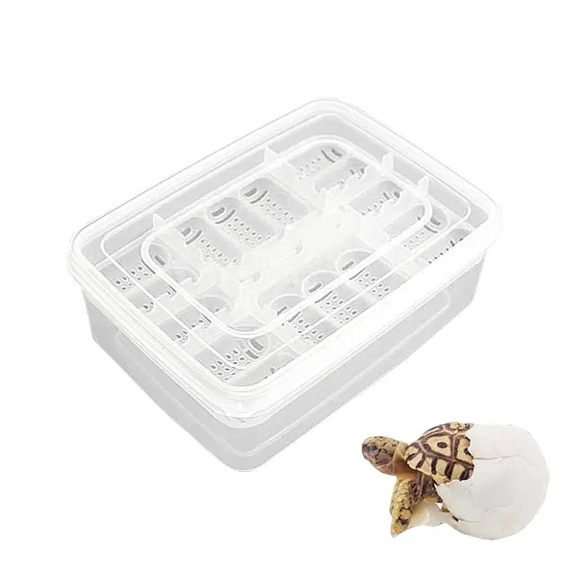 DI Y 12 Grids Hatch Box Snake Lizard Reptile Egg Tray Boxes Hatching Eggs Device Climbing Pet Tortoise Turtle Incubator Supplies