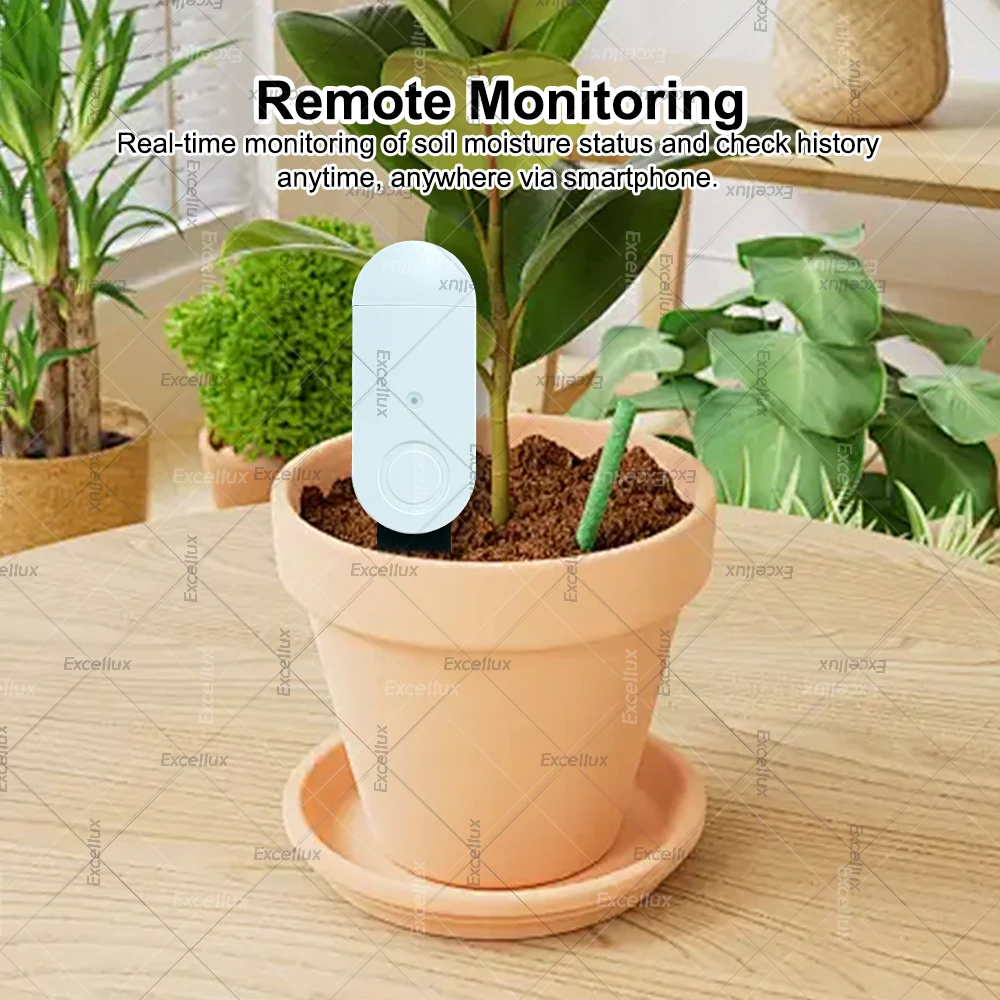 Thumbnail 4 - #39 New Moisture Meters Arrivals