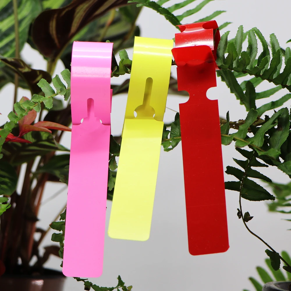 50-100PCS Garden Adjustable Buckle Plant Tag Potted Classification Hang Label Plastic Identification Card Reusable Waterproof