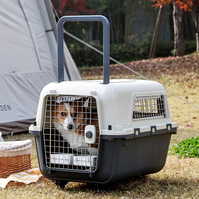 

Aviation Plastic Portable Cat Dog Pet Cage Airline Approved Travel Pet Carrier For Small Animals