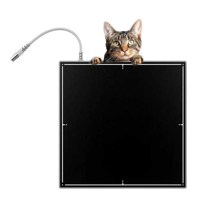 1417 /1717 High Resolution Veterinary Medical Equipment Wired Flat Panel Detector DR X Ray Radiography Machine for Human / Vet