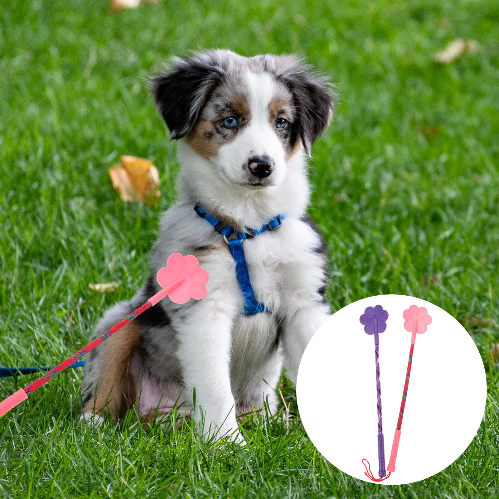 Durable Paw Shape Rubber Dog Training Pat Pet Training Tool Gift No Hurt Dog Training Whip for Dog Puppy (Random Color)