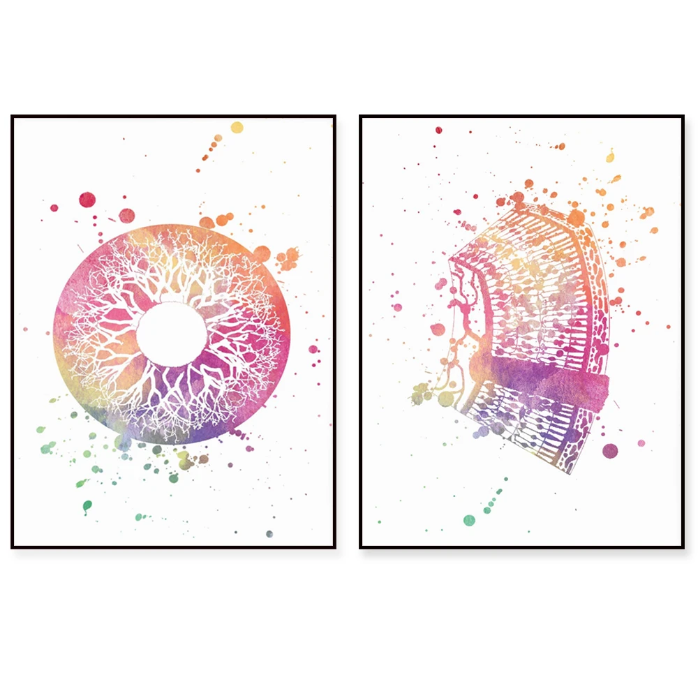 Optometry tools, watercolor Snellen eye chart, iris print, retinal blood vessels, human eye optometrist poster wall decoration