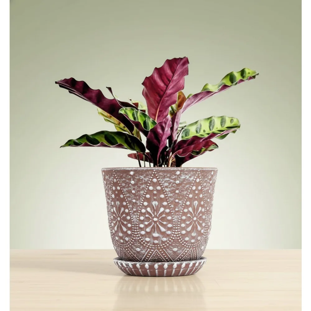 

8 Inch Ceramic Plant Pot with Drainage Holes and Saucers, Large Indoor Flower Planter for Home Garden Decor