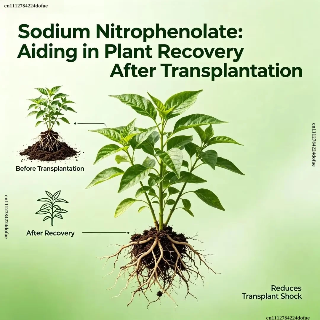 98% Sodium Nitrophenolate Plan - Aquarium Fertilizer review and price