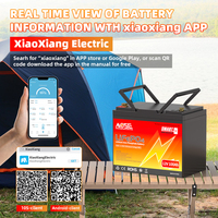 12V 100AH LiFePO4 Lithium Battery with Bluetooth 1280Wh Low Temperature Protection Group 24 Built-in 100A BMS for Trolling Motor