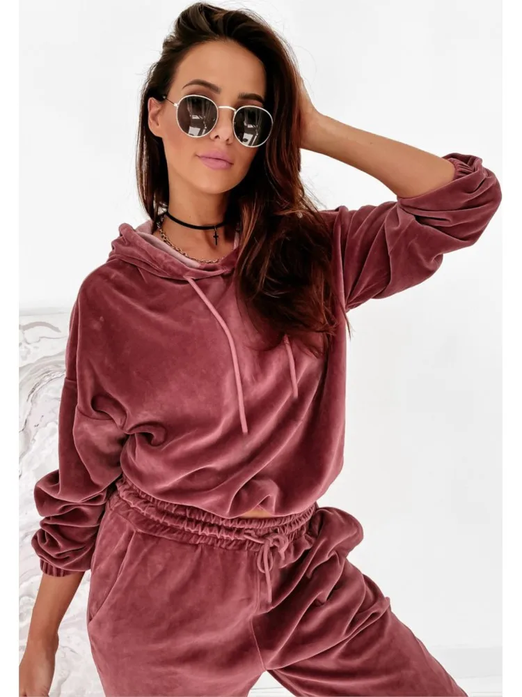 Autumn Velvet Women Two Piece Set Casual Sport Outfits Hooded Sweatshirt + Pants Sets Spring Sportswear Fashion Suits Female