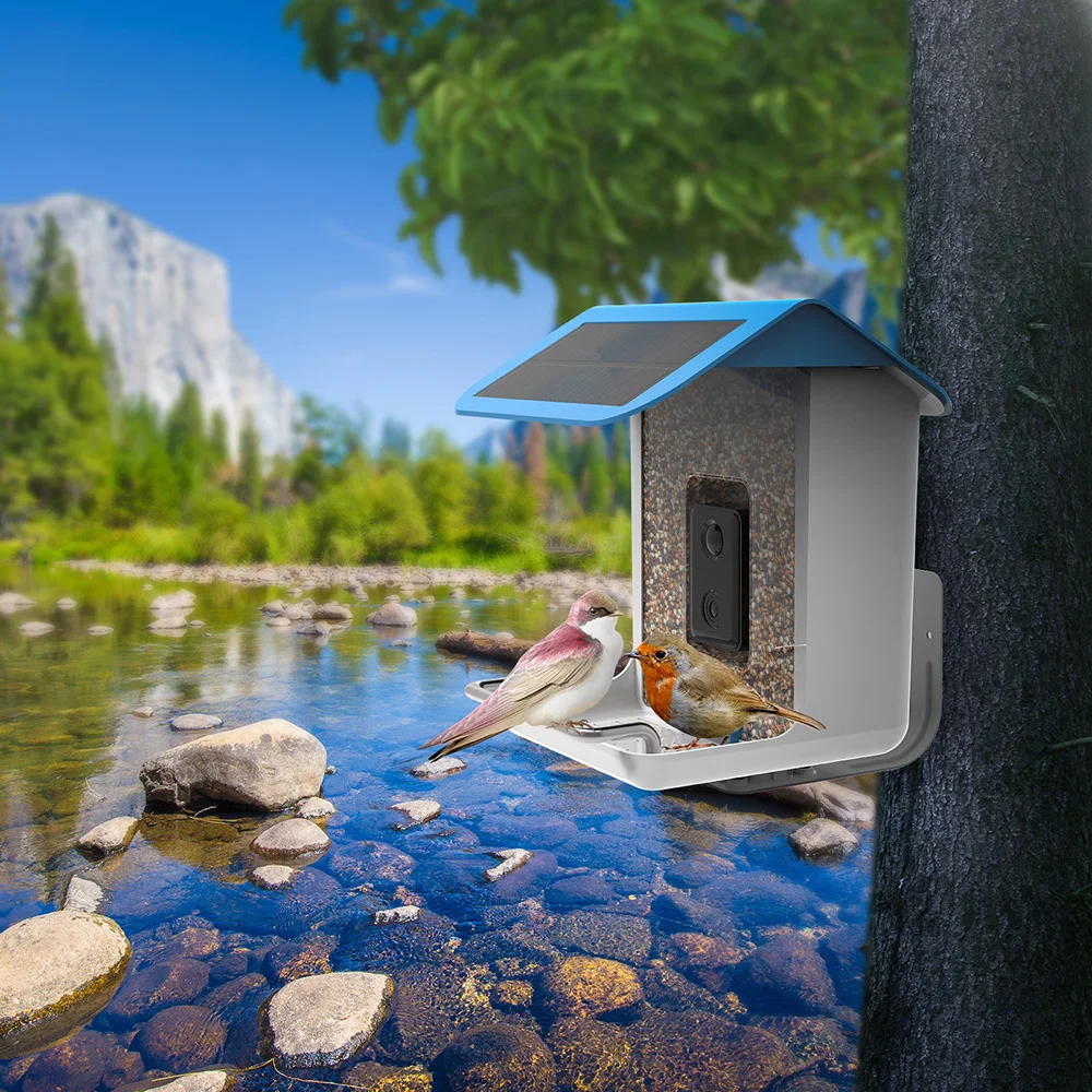 Smart Bird Feeder with Camera for Outside Bird Watching Feeder Camera AI Recognizes Bird Species with Solar Powered