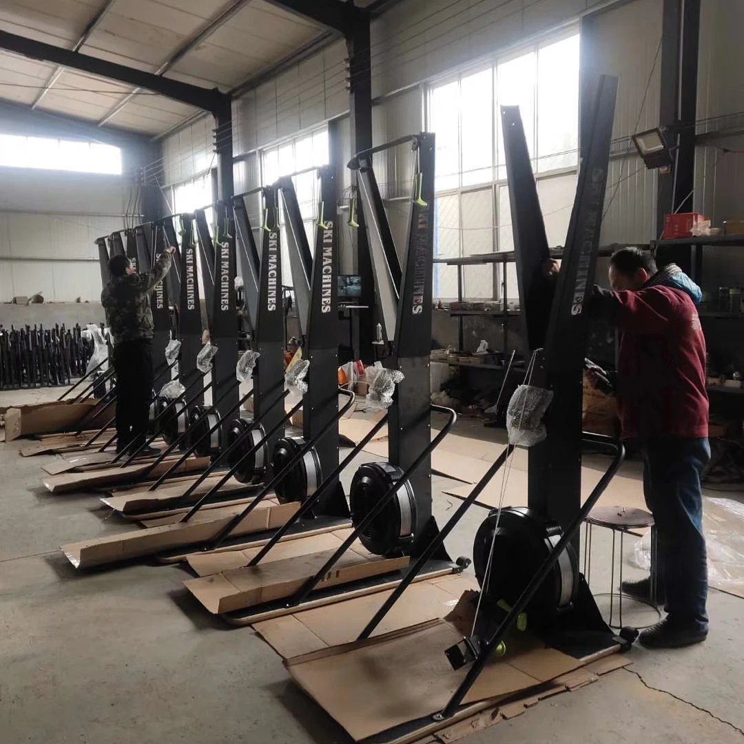 

Typical Ski Machine Heavy Duty Gym Use Indoor Ski Rower Ski Trainer