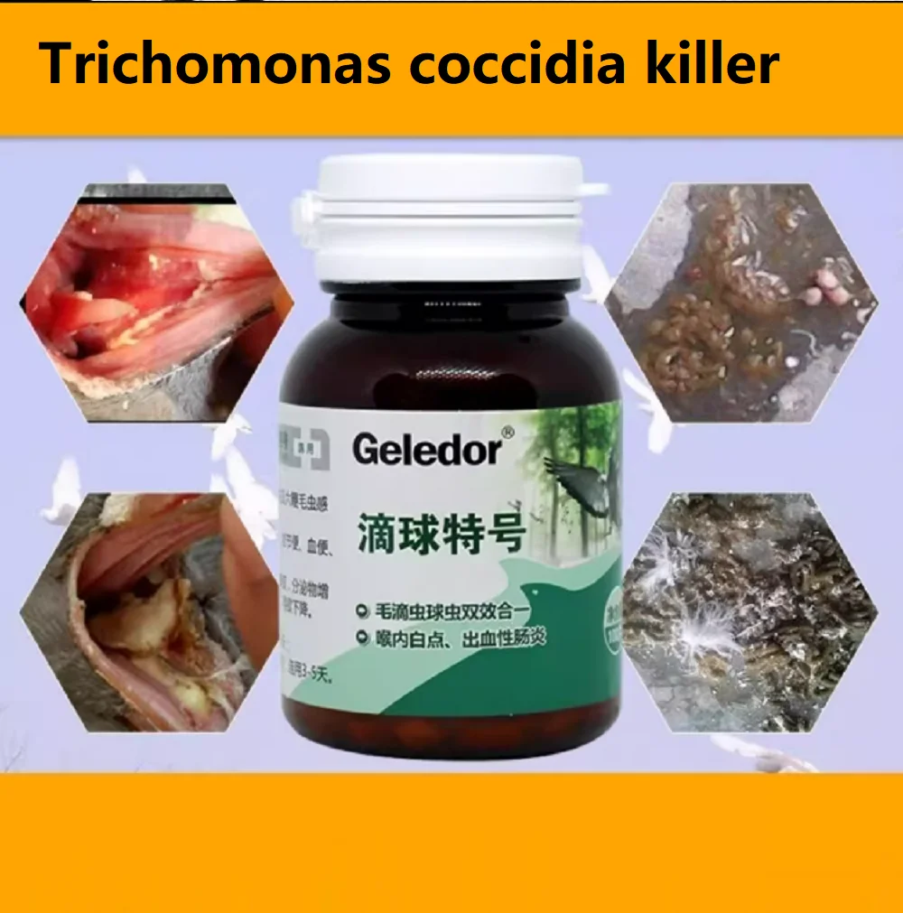 100 قرص/صندوق Trichomonas Pigeon Coccidia 2 في 1 Infection Nodular Stool Disorders الجهاز الهضمي
