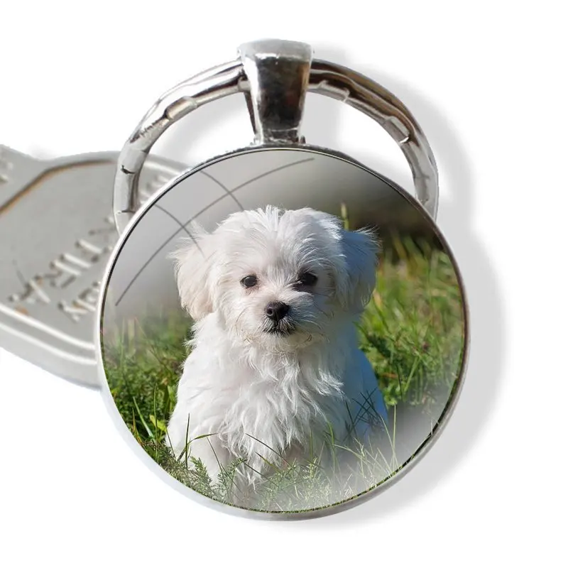 Phone Shell Covers Animal Bichon frise dog Adorable Colored Drawing glass cabochon keychain Car key chain Charms keychains Gifts