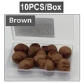Brown Snail