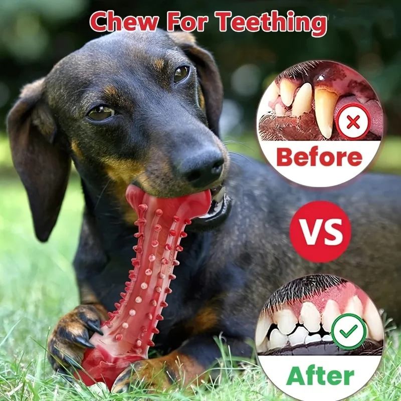 1-Pack Dog Chew Toys for Teething, Durable Rubber Dental Teeth Cleaning Bone for All Breed Sizes, Non-Toxic Pet Toy