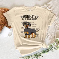 Dachshund