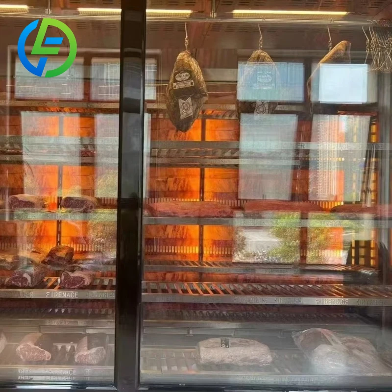 Customize Best Home Use Dry Aging Fridge Meat Beef Refrigerator Machine Built in Compressor with Light Box on Top