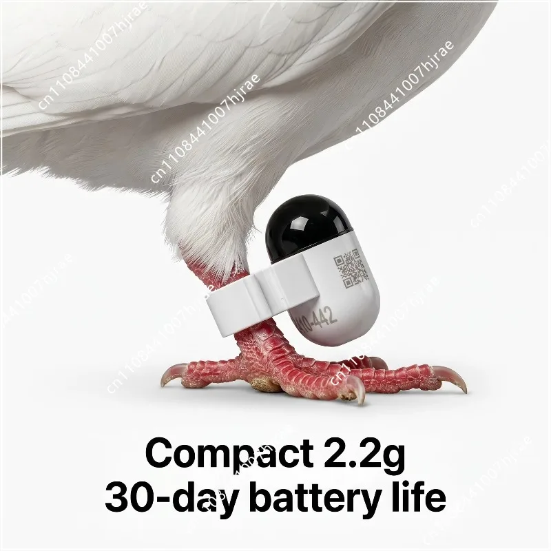 GPS + LTE flight track pigeon locator, real-time APP remote viewing, mini installation