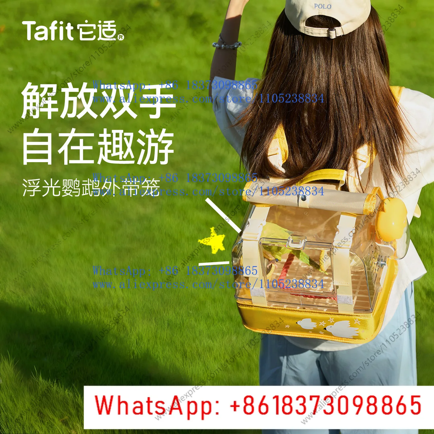 Parrot floating light go out bag peony take out cage Xuanfeng go out backpack little sun monk carry cage