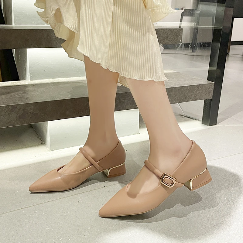 Pointed Toe Sexy Women High Heels Shoes 2024 New Fashion Chunky Shoes for Women Dress Brand Party Elegant Pumps Female Zapatos