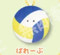 volleyball