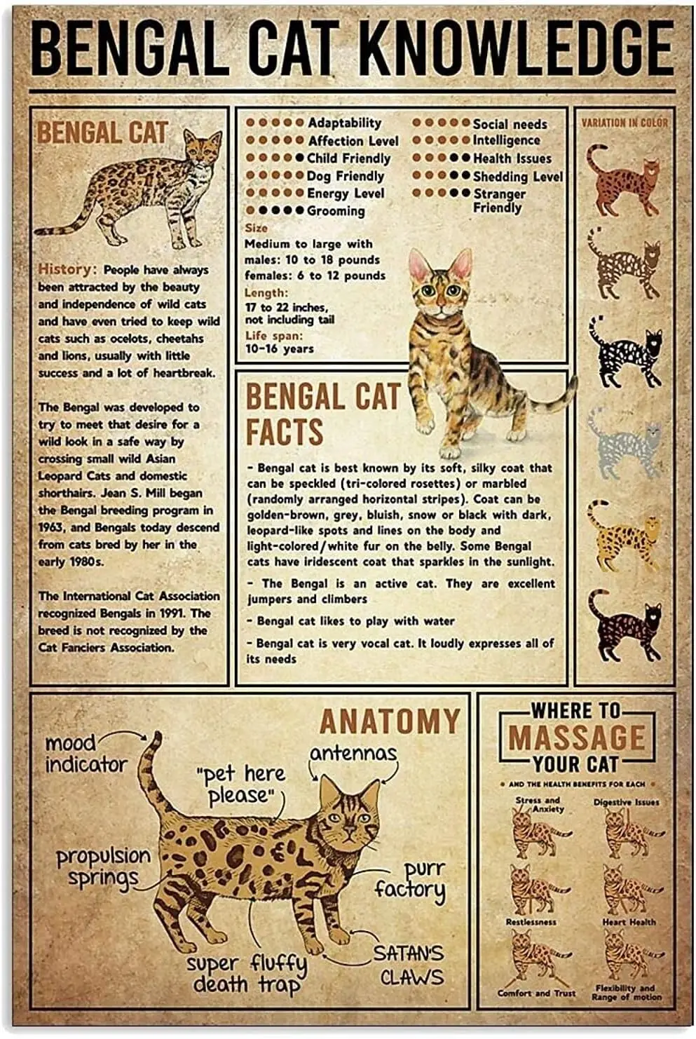 Знания о кошке, металлический жестяной знак, Настенный декор, постер с бенгальским котом, школа, магазин питомцев, кафе, бар, спальня, ванная, кухня, домашнее искусство, 8x12